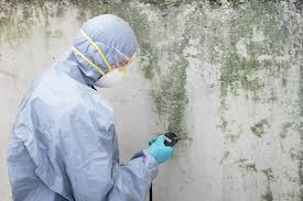 Mold Documentation for Insurance Claims in Libertyville, IL